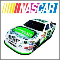 NASCAR Flags