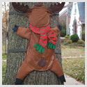 Outdoor Christmas Decorations