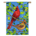 Cardinals Banner
