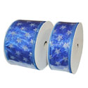 Silver Star Blue Ribbon