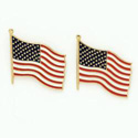 USA Earrings