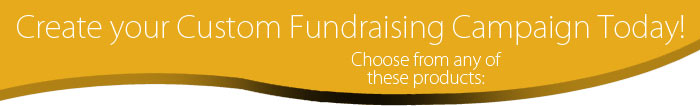 create your custom fundraiser