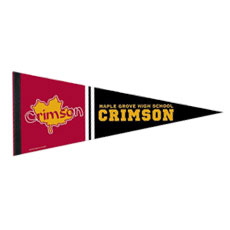 custom small pennant