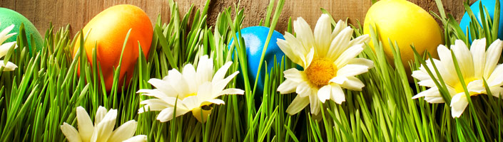 Decorate your egg hunt with our Easter Decorations.
