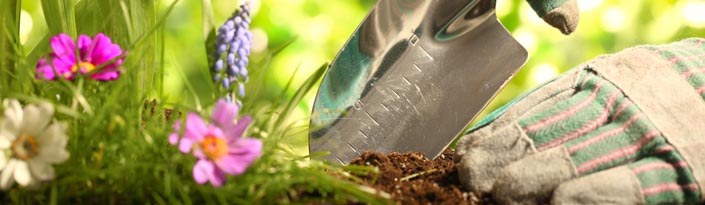 Get back to nature with a green product.