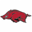 Razorback Lapel Pin