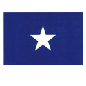 Bonnie Blue Flag Decal