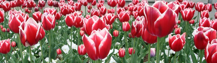 Make your mother's day with a hand picked gift.