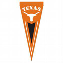 Texas Longhorns Yard Pennant
