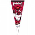 Arkansas Razorbacks Stadium Pennant