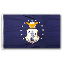 Air National Guard Flag, AAING35