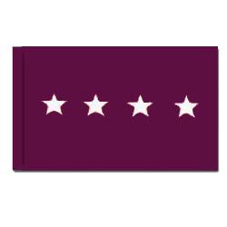 Army Medical General Flag with Pole Hem, AARMSTAR435PH