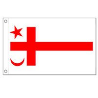 Grand Council Flag of the Mi'kmaq Nation,CUMI35