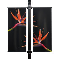 Birds of Paradise Double Street Pole Banner