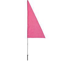 Pink Banner on The Go in, DFFLAG4860