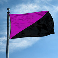 Anarcha-Feminism Flag,DFLAG35ANFE
