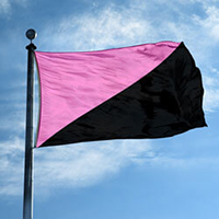 Anarcha-Queer Flag,DFLAG35ANQU