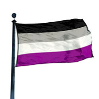 Asexuality Pride Flag,DFLAG35ASEX