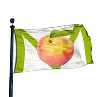 Impeach Flag, DFLAG35MPE