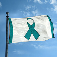 Teal Ribbon Flag