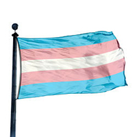 Transgender Pride Flag,DFLAG35TRAN