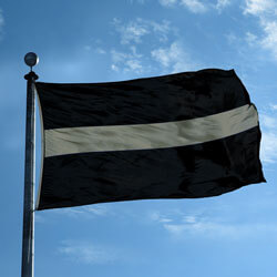 Thin Silver Line Flag, FBPP0000013758