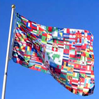 World Flag, DFLAG35WORLD