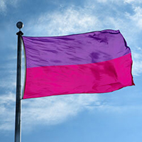 Double Stripe Flag: Lavender/Magenta