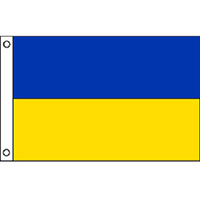 Double Stripe Flag: Blue/ Yellow
