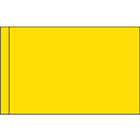 Color Flag with Pole Hem: FM Yellow