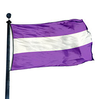 Triple Stripe Flag: Lavender/ White/ Lavender
