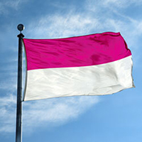 Double Stripe Flag: Magenta/White