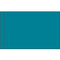 Color Flag with Pole Hem: Parrot Blue
