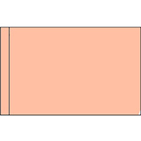 Color Flag with Pole Hem: Peach
