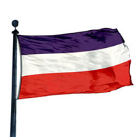 Triple Stripe Flag: Purple/ White/ Red