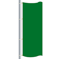 Bright Green Color Drape Flag, DFLAGNY25BG
