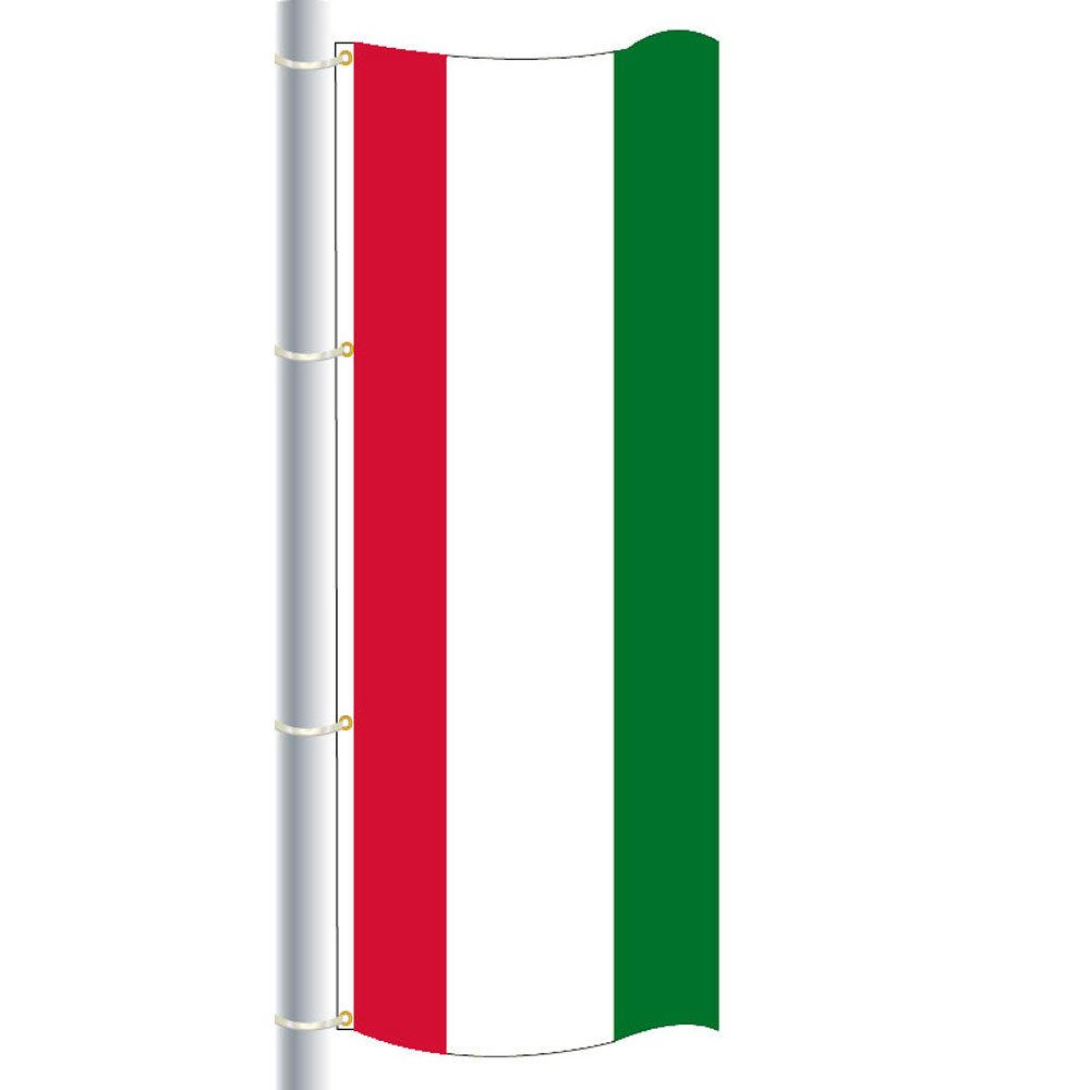 skjorte Herre venlig Badeværelse Nylon Red-White-Green Triple Stripe Drape Flag | FlagandBanner.com