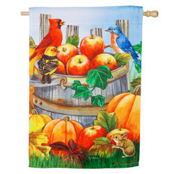 Apples and Pumpkins Suede House Flag EE13S9992H