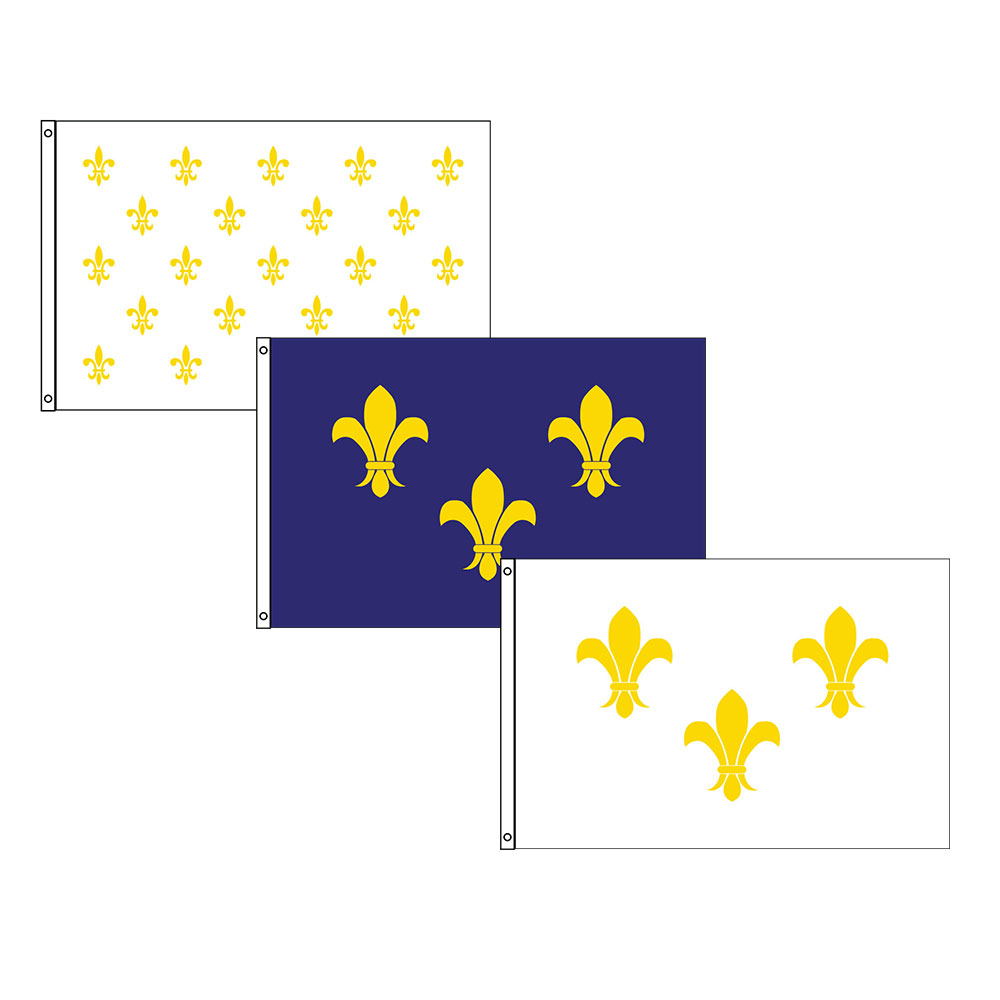 French FLAG Kingdom of France Royal King Fleur de Lys Flag Flag King