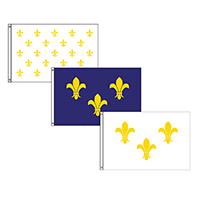 Fleur-de-Lis Flag, FBPP0000010436
