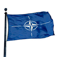 World, nato, North Atlantic Treaty Organization flag,