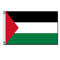 Palestinian National Authority Flag, FPALE46