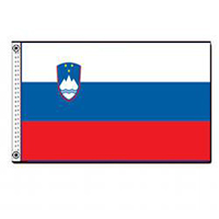 Slovenia Flag