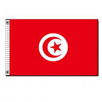 Tunisian Republic Nylon Flag (6 ft. x 10 ft.), FTUNI610