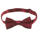 Metallic Bow Tie, GEX10711R