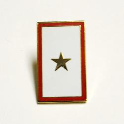 Gold Service Star Lapel Pin, GPINP14261