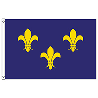 French Fleur de Lis Economy Polyester Flag, HFREN35P