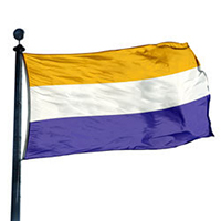 National Woman's Party Flag,HNAWO35