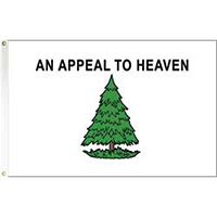 Washington Cruisers' flag, HWASH35