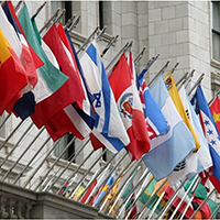 Organization of American States Outdoor Flags and Kits